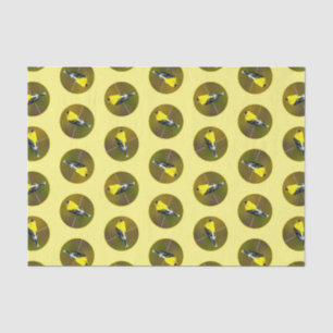 Papel De Seda American Goldfinch Songbird - Foto original