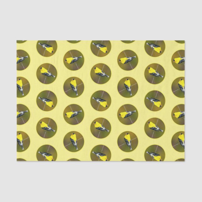 Papel De Seda American Goldfinch Songbird - Foto original (Frente )