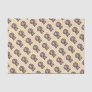 Papel De Seda American Water Spaniel Painting - Arte Original de