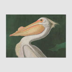 Papel De Seda American White Pelican Birds of America Audubon