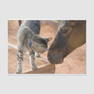 Papel De Seda Amigos de Gato e Cavalo
