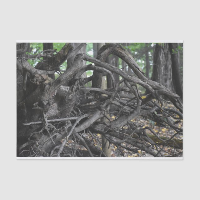 Papel De Seda Amor a Árvore Falsa (Frente )