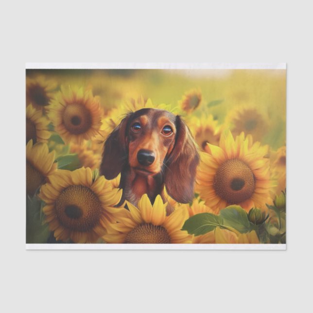Papel De Seda Amor De Girassol, Dachshund De Cabelo Longo Marrom (Frente )