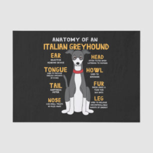 Papel De Seda Anatomia italiana do Greyhound Engraçado Cachorro
