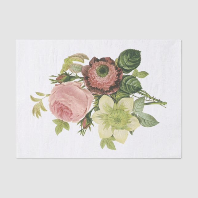 Papel De Seda Anemone, Rosa, Clematis (Frente )