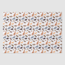 Papel De Seda Animais da Vida Selvagem Aussie da Austrália