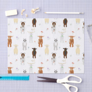 Papel De Seda Animais das explorações de caprinos