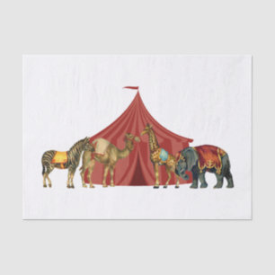 Papel De Seda Animais De Circo E Tensão
