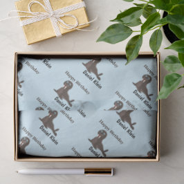 Papel De Seda Aniversário personalizado foca cinza azul fofo