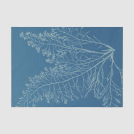 Papel De Seda Anna Atkins Botanical Study