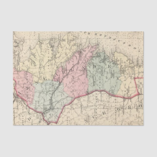 Papel De Seda Anne Arundel (Frente )