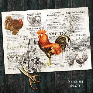 Papel De Seda Antiguidade Vintage Rooster Horticultura Anúncio E