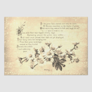 Papel De Seda Antiguidade Vintage Sepia Daisy Poesia das Flores