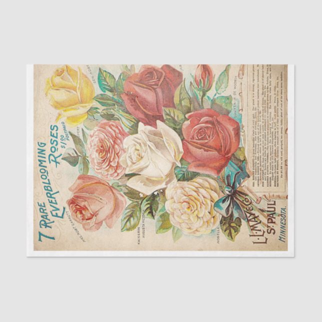 Papel De Seda anúncio de flor (Frente )