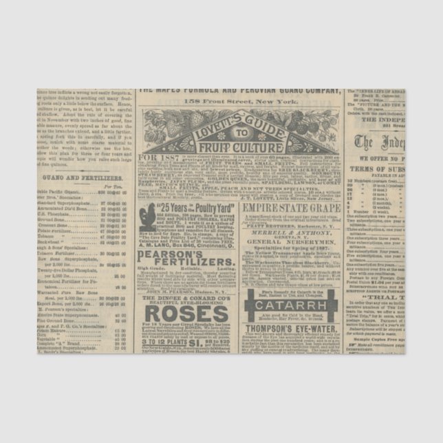 Papel De Seda Anúncios de jornal Vintage (Frente )