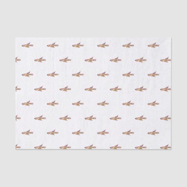 Papel De Seda aphyosemion bitaeniatum ijebu ode Killifish (Frente )