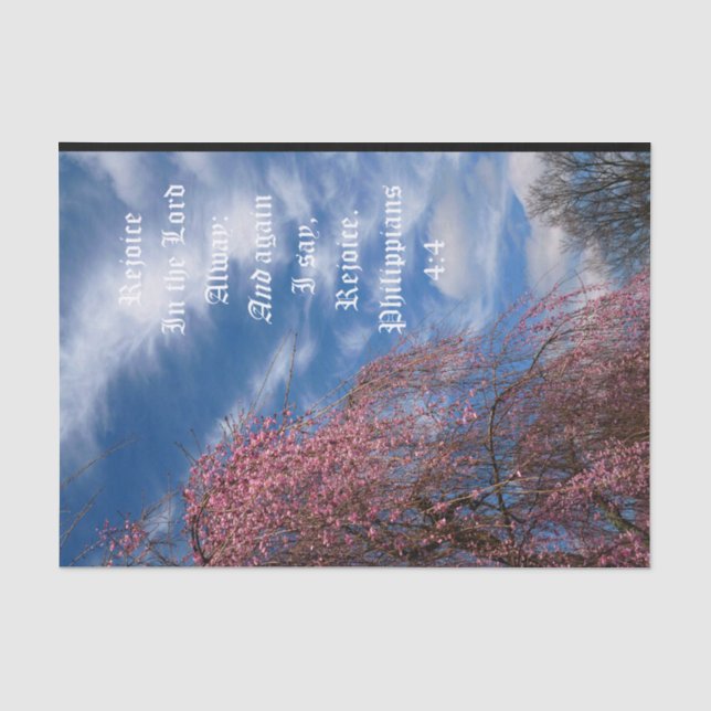 Papel De Seda April Sky com Philippians 4:4 (Frente )
