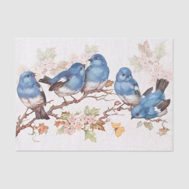 Papel De Seda Aqueles bebês azuis (Frente )