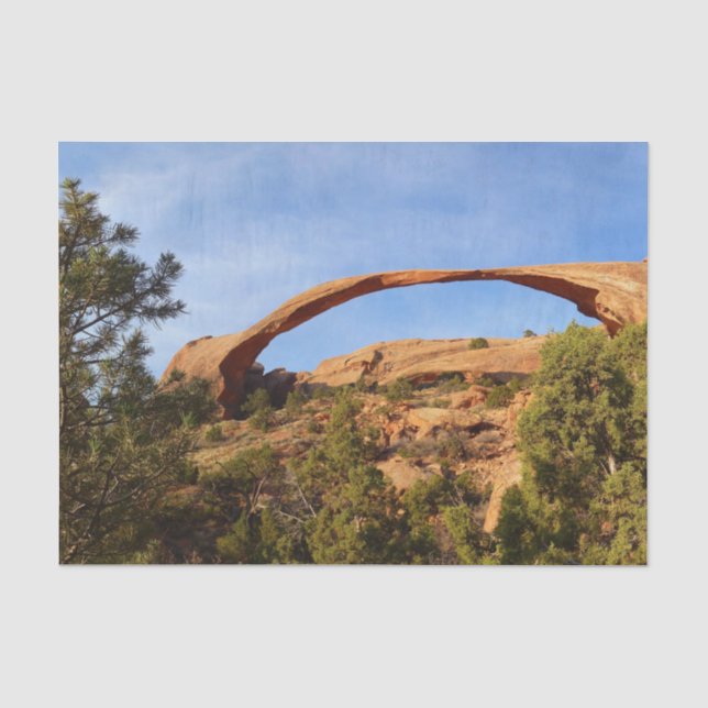 Papel De Seda Arco Paisagem no Parque Nacional dos Arcos (Frente )
