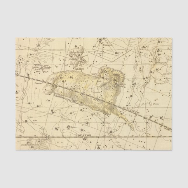 Papel De Seda Aries, Musca Borealis (Frente )