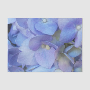 Papel De Seda armário azul de flores de hydrangea