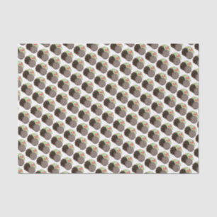 Papel De Seda Arroz de Cabra Curry e Comidas de Caribe jamaicana