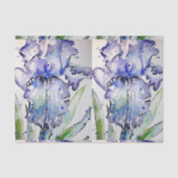 Arte Azul Iris Flor Aquarela