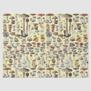 Papel De Seda Arte Botânica Aconchegante de Cottage com Cogumelo