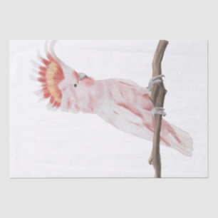 Papel De Seda Arte de Aquarela de Papagaio Rosa