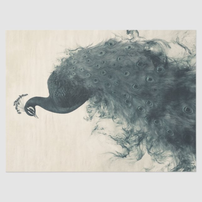 Papel De Seda Arte De Descamação Inspirada Na Ornitologia De Pea (Frente )