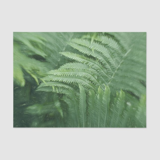 Papel De Seda Arte de Folhas de Samambaia Botânica Verde (Frente )