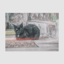 Arte de Gato Preto Fofo Vintage Antigo Estilo