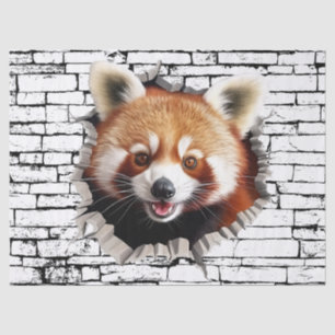 Papel De Seda Arte de Panda Vermelho 3D em Parede Quebrada – Saf