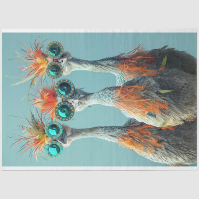 Papel De Seda Arte De Pássaro De Pássaros De Dissociação (Frente )