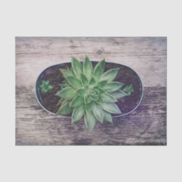 Papel De Seda Arte de pintura rústica verde suculenta decoupage