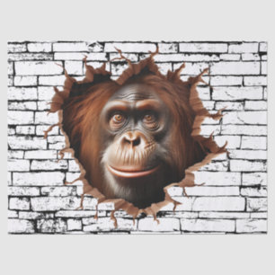Papel De Seda Arte de Quebra de Parede Orangutan 3D - Safari Rea
