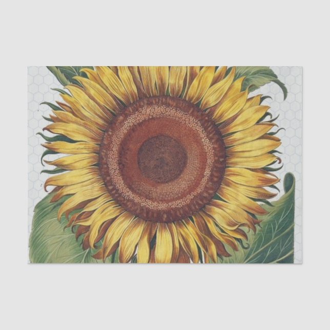 Papel De Seda Arte Floral de Girassol Vintage Damask (Frente )