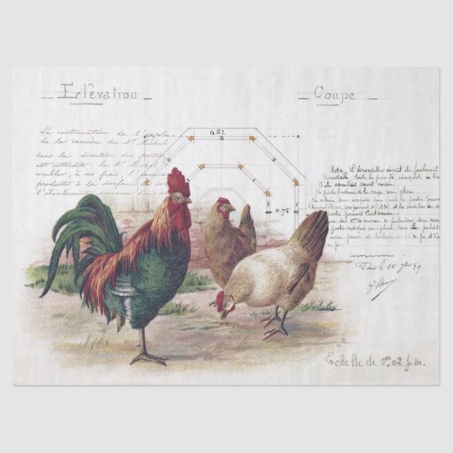 Papel De Seda Arte Francesa: Hen Chicken Farmhouse Decoupage (Frente )