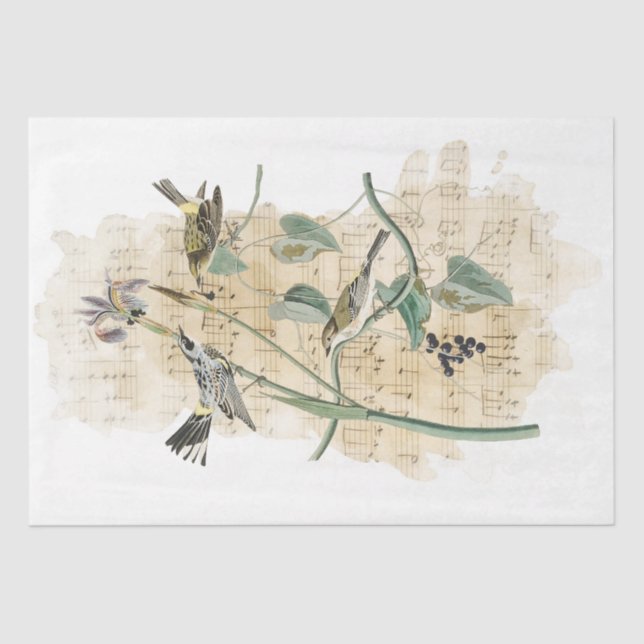 Papel De Seda Artesanato de Decoupage de Aquarela Iris Flower (Frente )