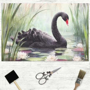 Papel De Seda Artesanato de Decoupage do Swan Preto da Aquarela