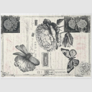 Papel De Seda Artista Preto Branco Grande Pintage Fundo de Penín