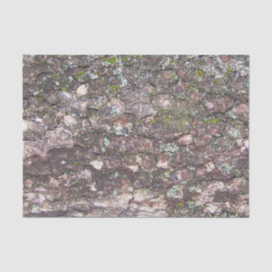 Papel De Seda Árvore 2 - Moss no Latido