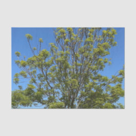 Papel De Seda Árvore Alta De Cinza Na Linda Foto Do Céu Azul