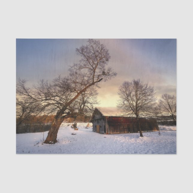 Papel De Seda Árvore de inverno protegendo um pinto (Frente )