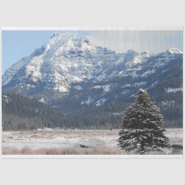 Papel De Seda Árvore de Natal (Frente )