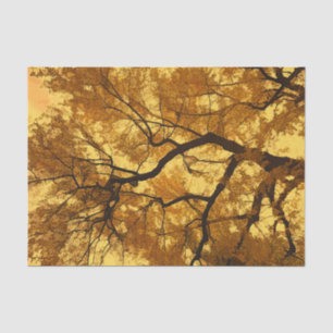 Papel De Seda Árvore de Outono Folhas Laranjas Céu Amarelo