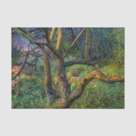 Papel De Seda Árvore de Palo Verde