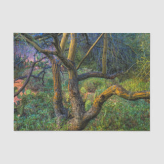 Papel De Seda Árvore de Palo Verde