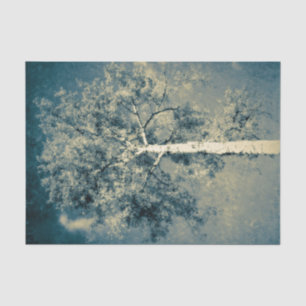 Papel De Seda Árvore Florestal de Textura Vintage contra Céu d