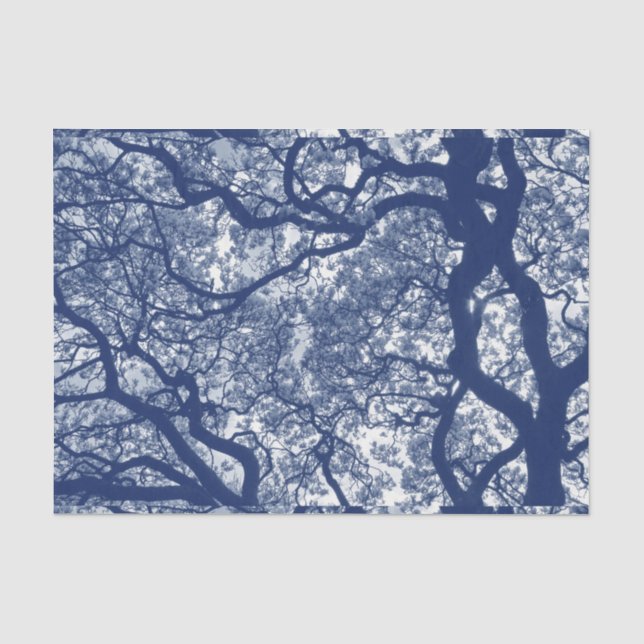 Papel De Seda Árvore Magnolia - Efeito de Cianótipo (Frente )